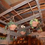 2019_OTRA_0969 (September 02, 2019)